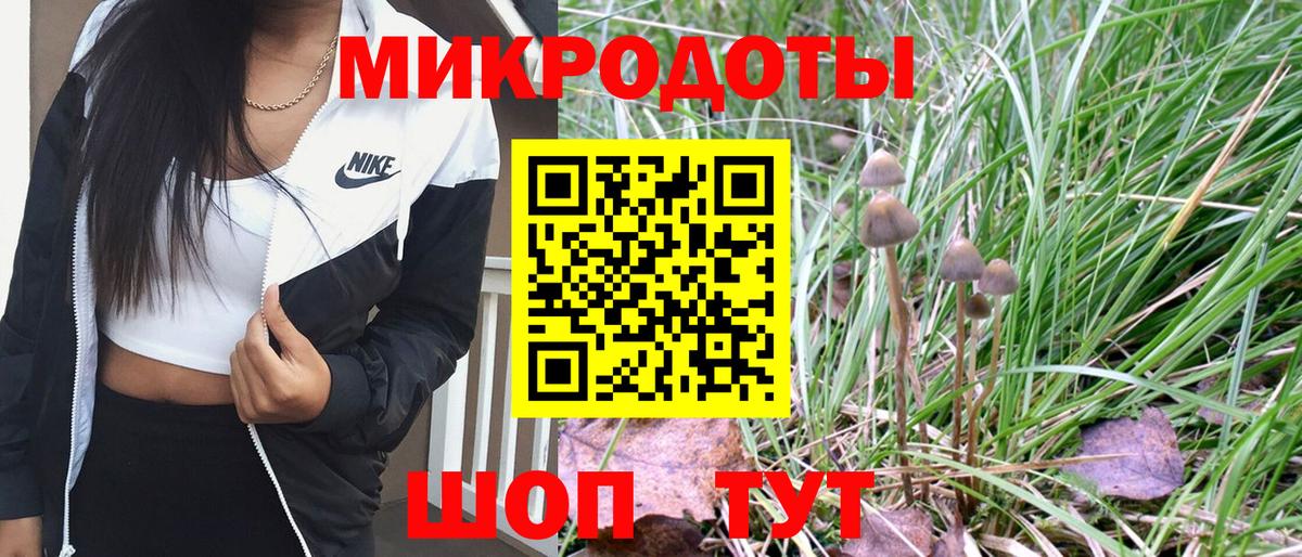 Галлюциногенные грибы мухоморы Алексин