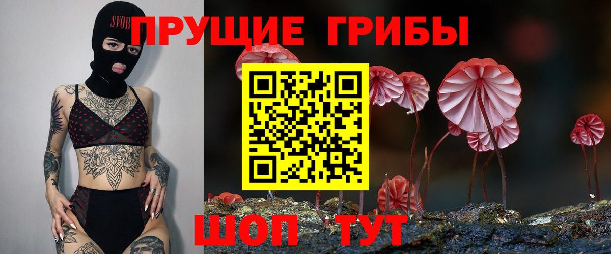 Алексин  Псилоцибиновые грибы MAGIC MUSHROOMS  Вход с VPN 